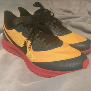 Nike Pegasus 36 trail w/ goretex